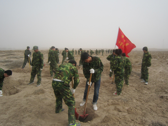 学雷锋 我行动 义务植树添风采