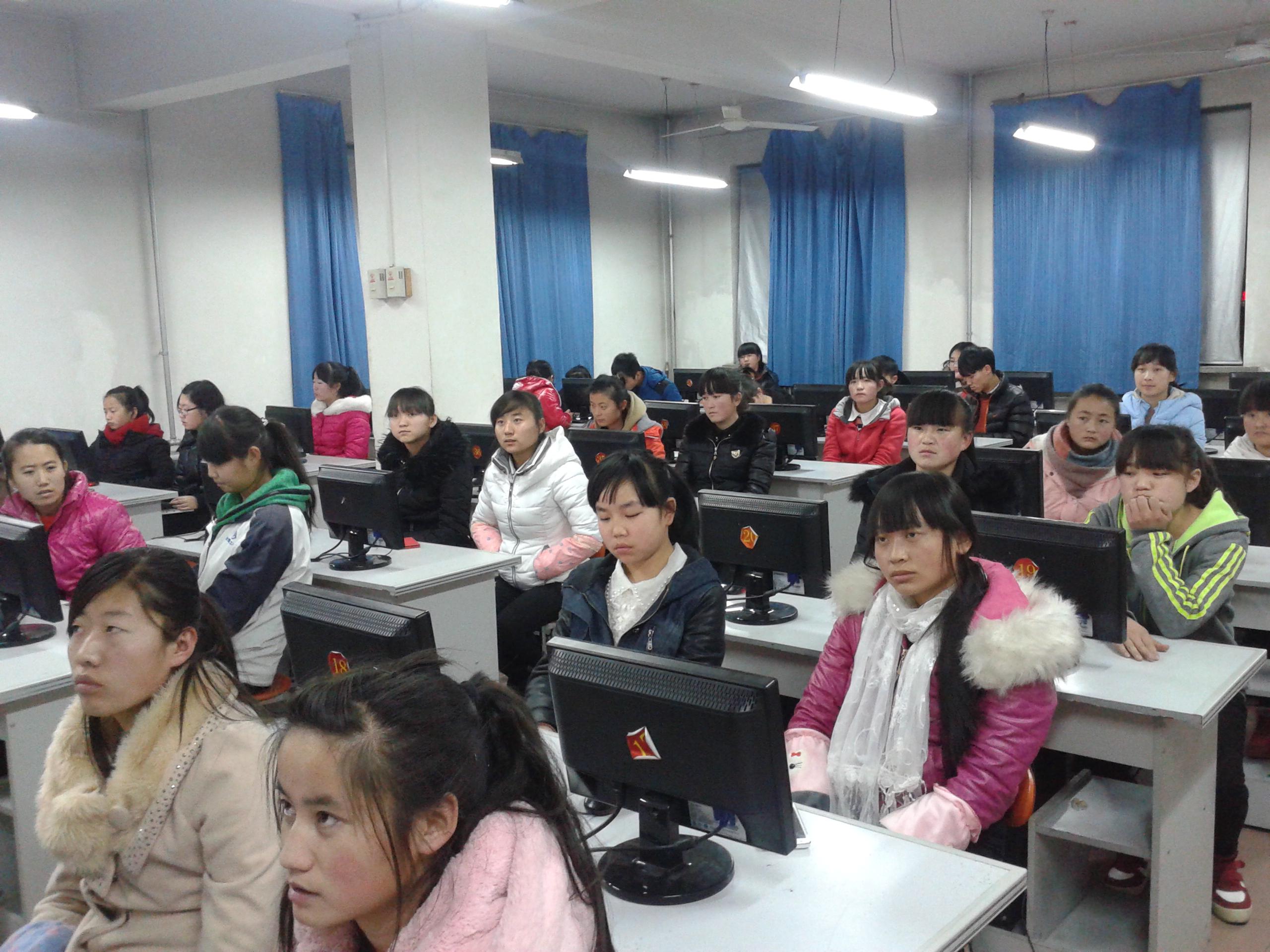 网上冲浪、自训学习