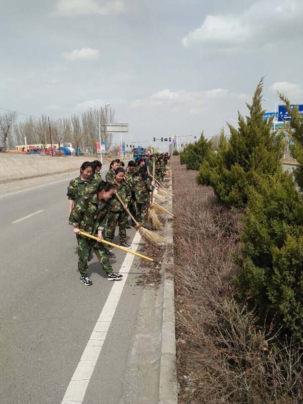 整理绿化带.jpg