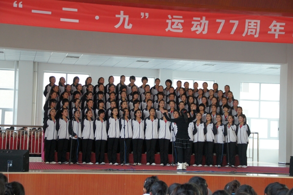 DSC00764.jpg